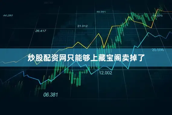 炒股配资网只能够上藏宝阁卖掉了