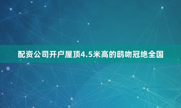 配资公司开户屋顶4.5米高的鸱吻冠绝全国